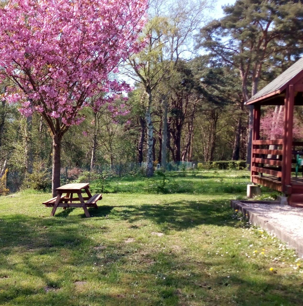 Camping Les Falaises De Toussaint Εξωτερικό φωτογραφία